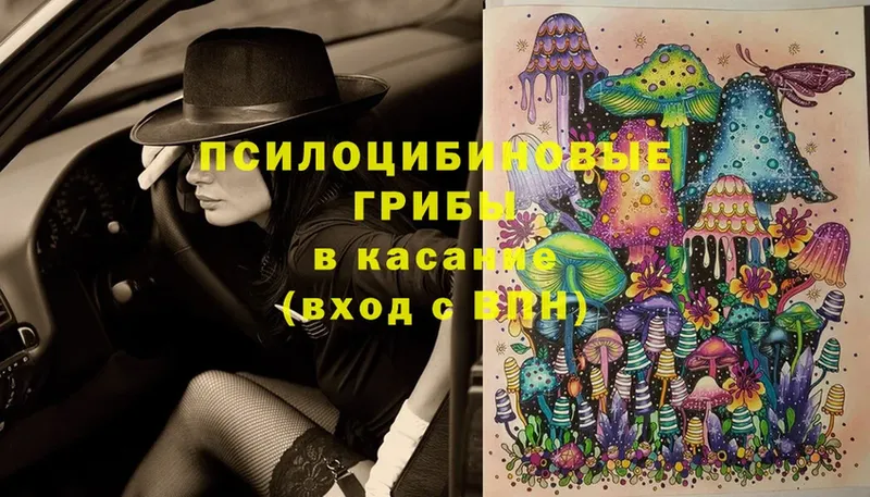 Галлюциногенные грибы Magic Shrooms  hydra зеркало  Балабаново 